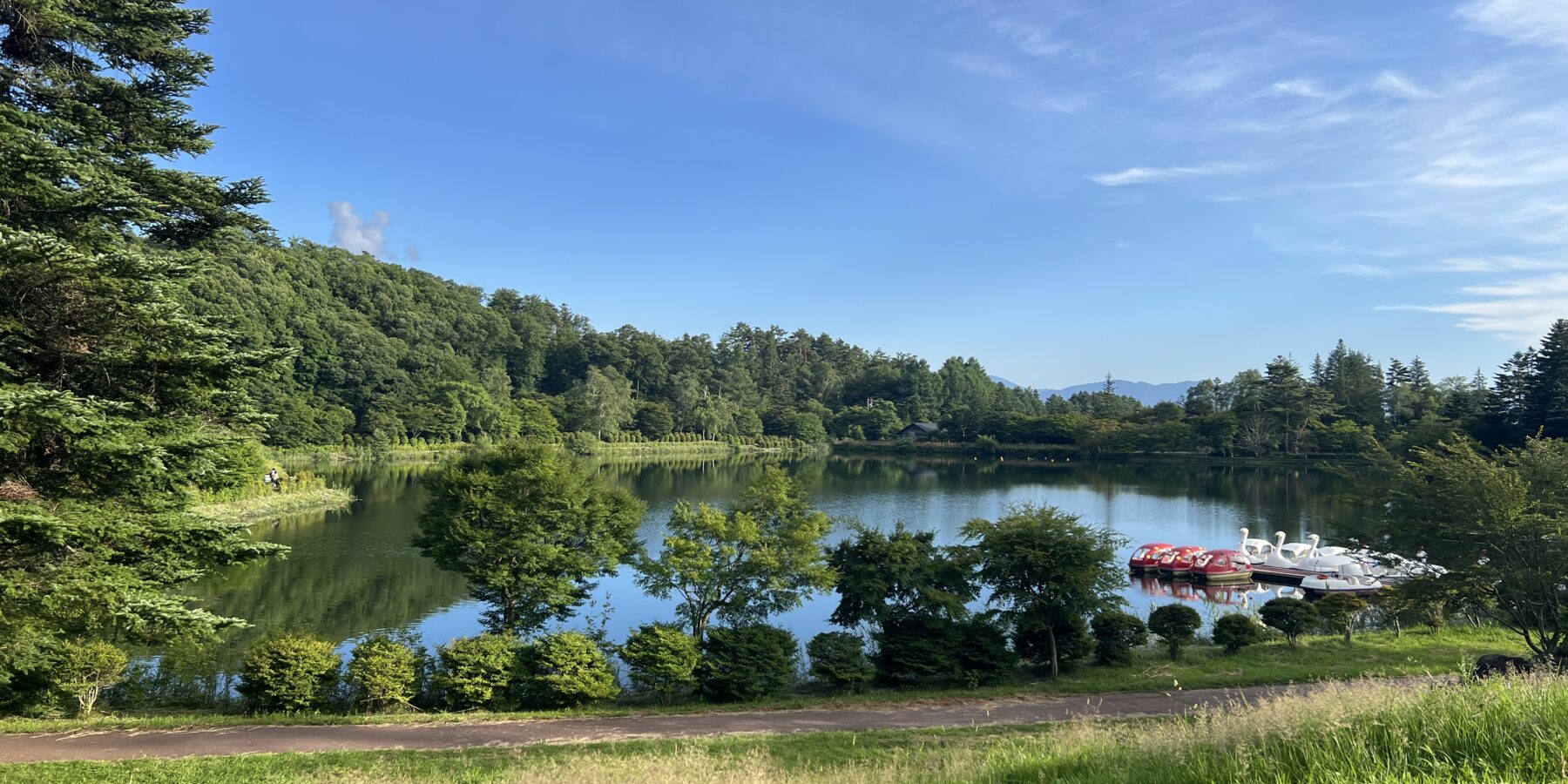 夏の蓼科湖