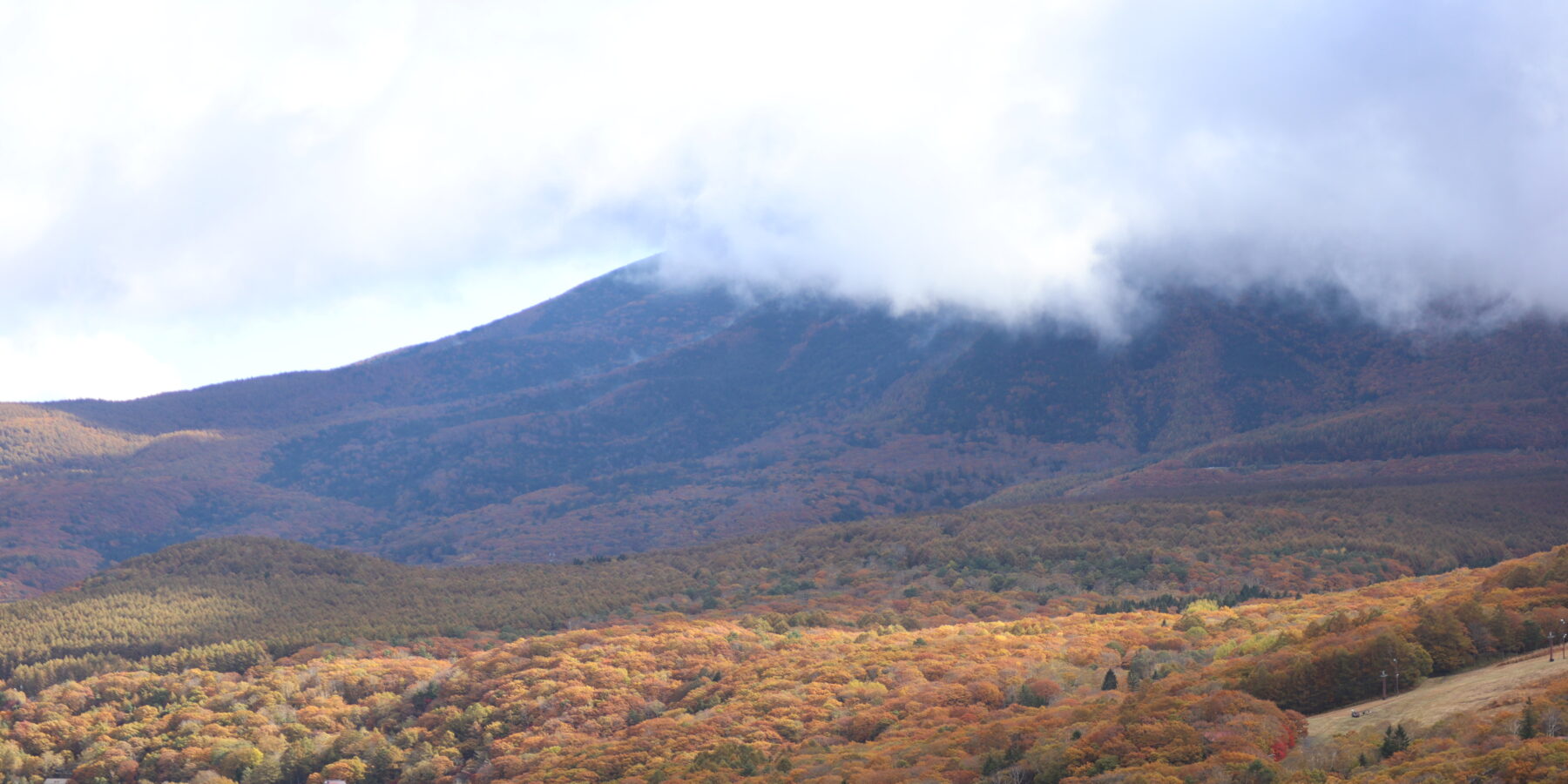 蓼科山に見る秋の風景。金色が大自然に広がる景色を見えます。