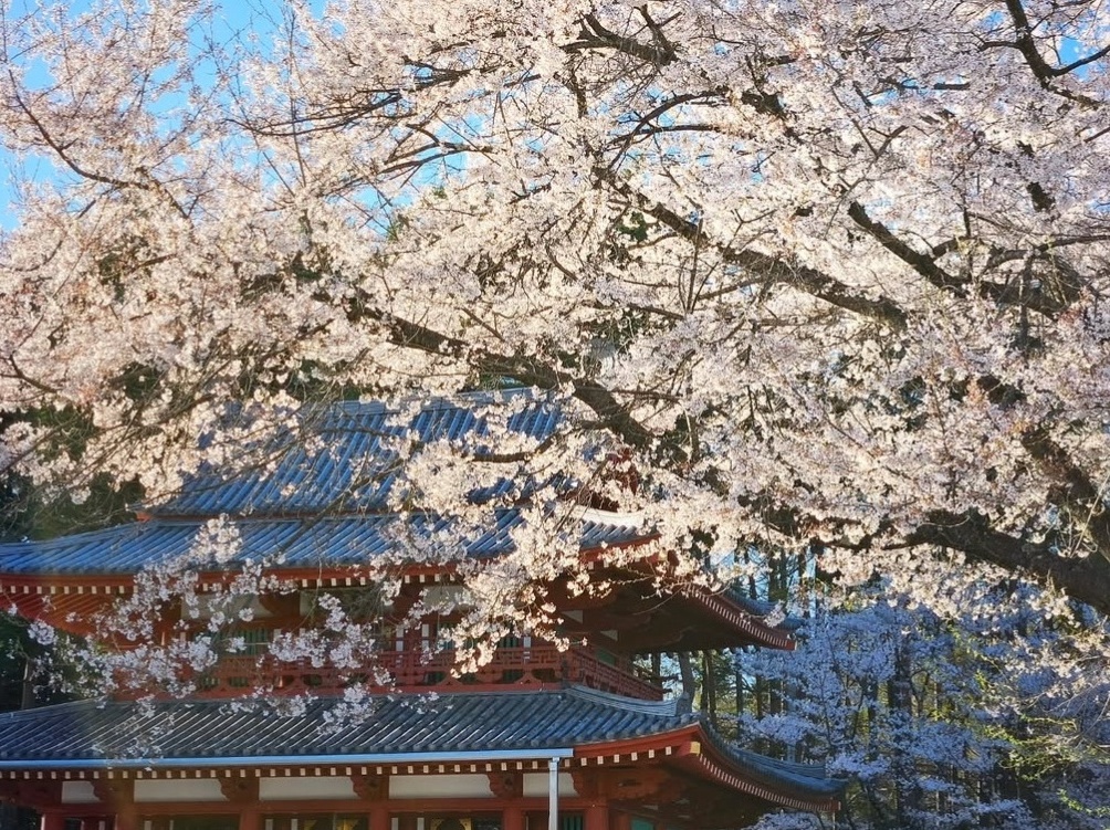 【4/17〜4/20限定】TGRラリーチャレンジ2026 応援宿泊プラン〜聖光寺リエゾンまで徒歩10分・観戦特典チケット付（朝食付きプラン）〜