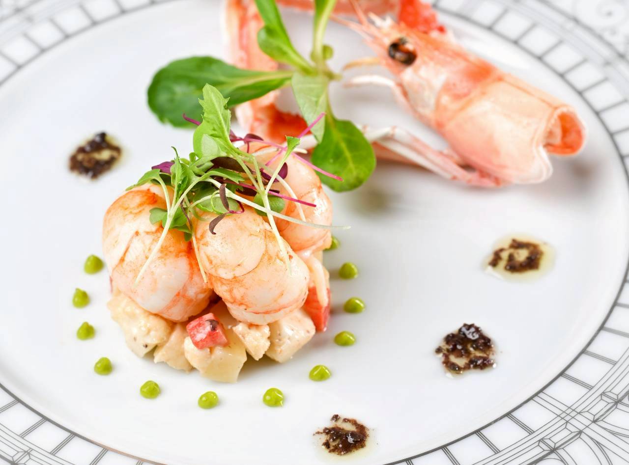 【8月限定】ロゼワイン付き | 南仏プロヴァンスの美食ステイプラン（一泊二食付き）