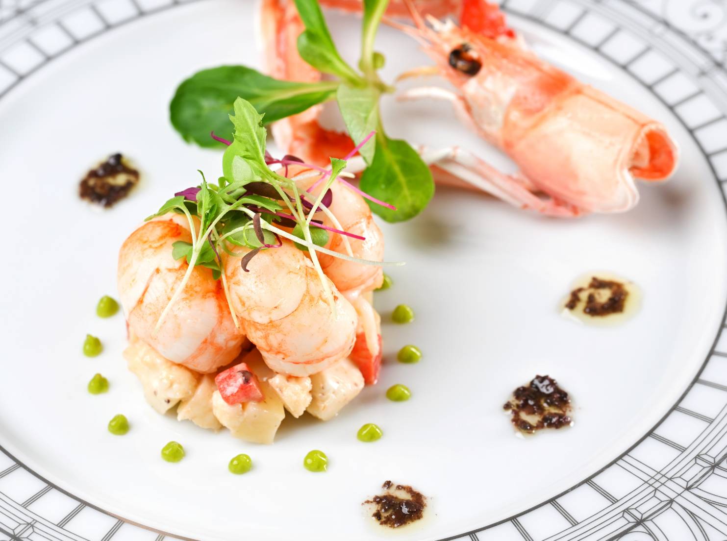 【8月限定】ロゼワイン付き | 南仏プロヴァンスの美食ステイプラン（一泊二食付き）