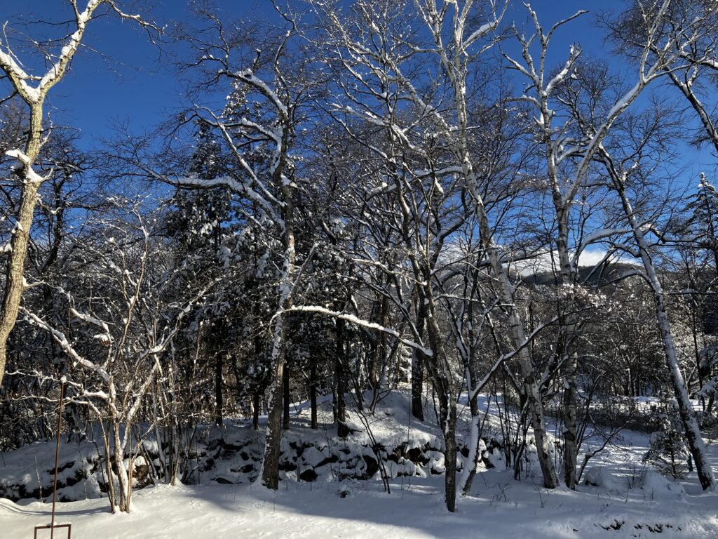 Winter scenery in Tateshina 