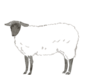 幻の羊（サフォーク）