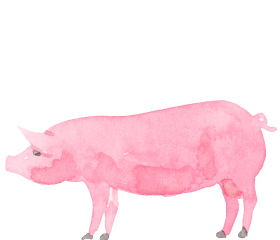 信州オレイン豚
