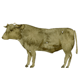 信州プレミアム牛