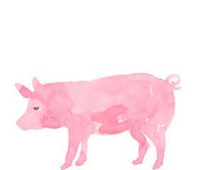 信州SPF豚